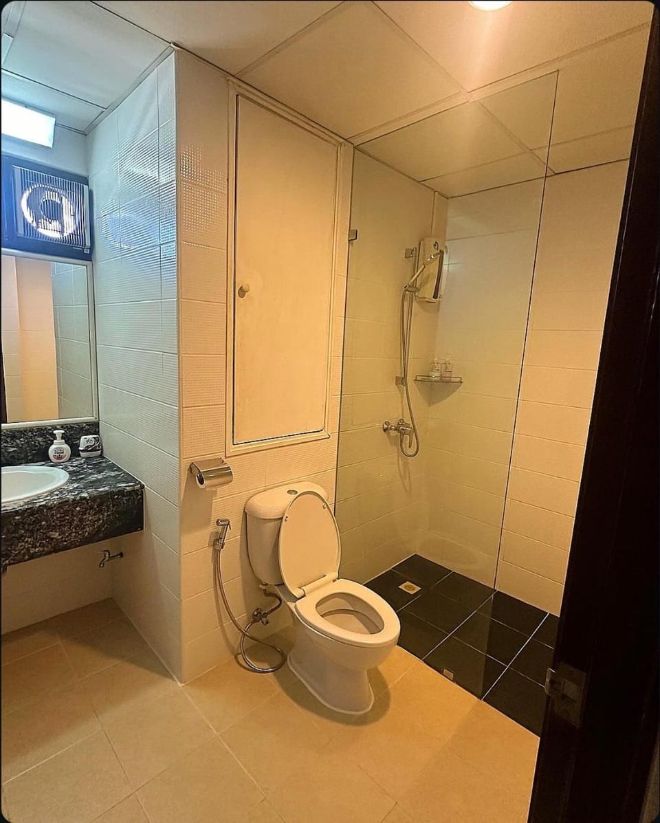 Shower, Toilet, Bathroom, bidet