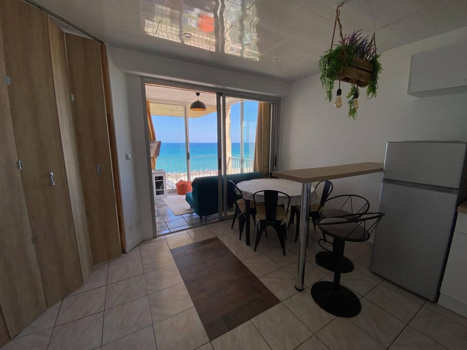 Grand Studio 2 Pers, Vue Mer, Parking Privé - FR-1-81-616 Apartment in Le Barcarès
