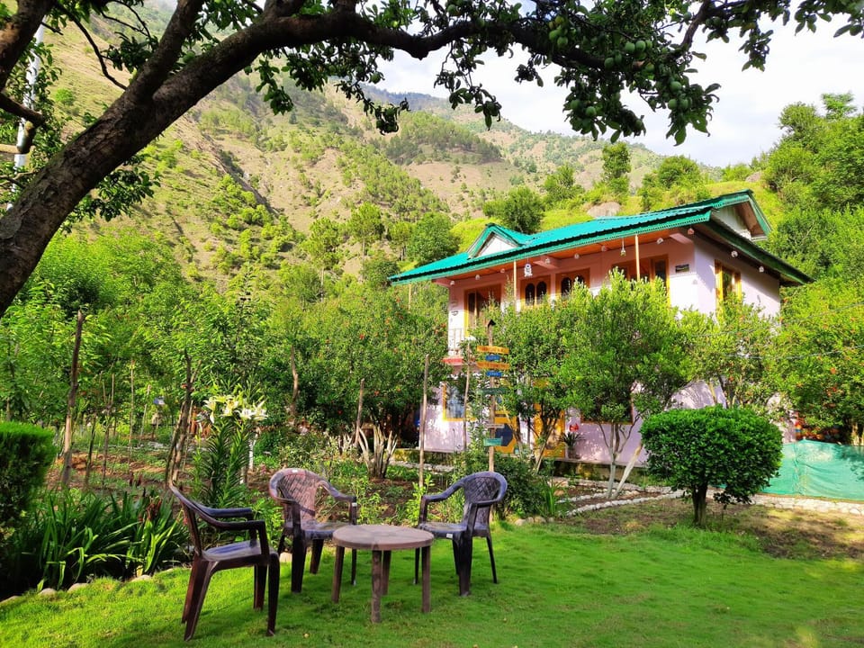 Property building, Garden, Garden, Garden view