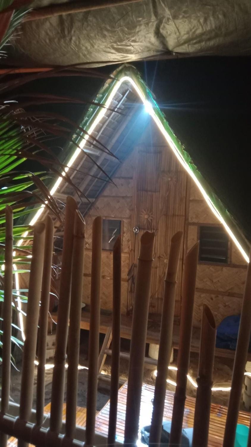 Night