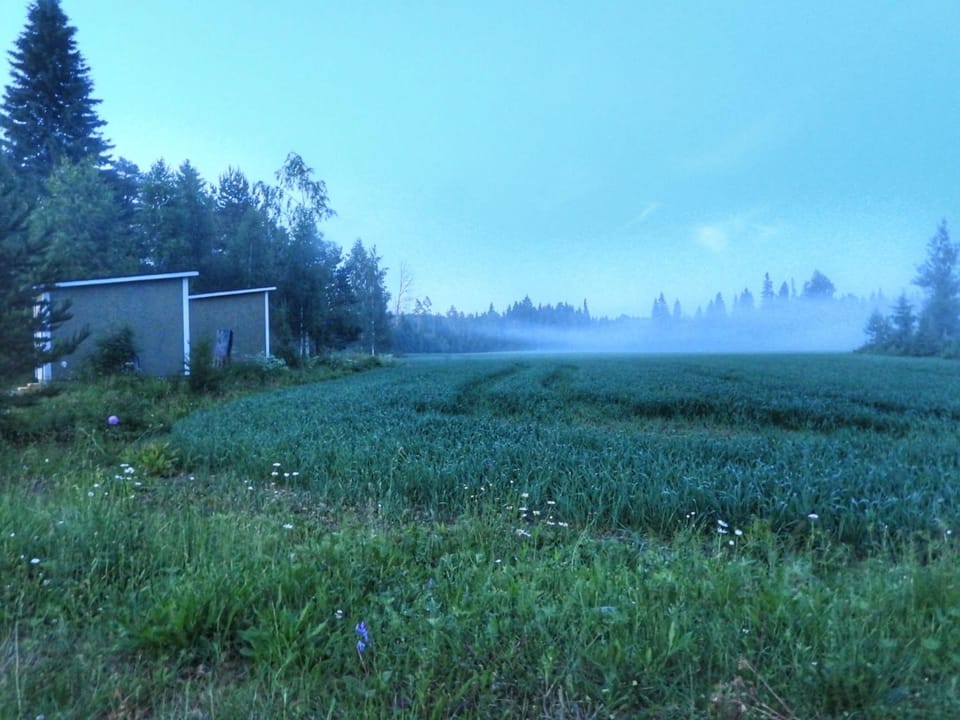 KoloCabins - Hiitolanjoki 4 Cabin in Finland