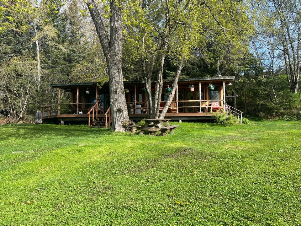 Moose twin cabin Cabin in Homer