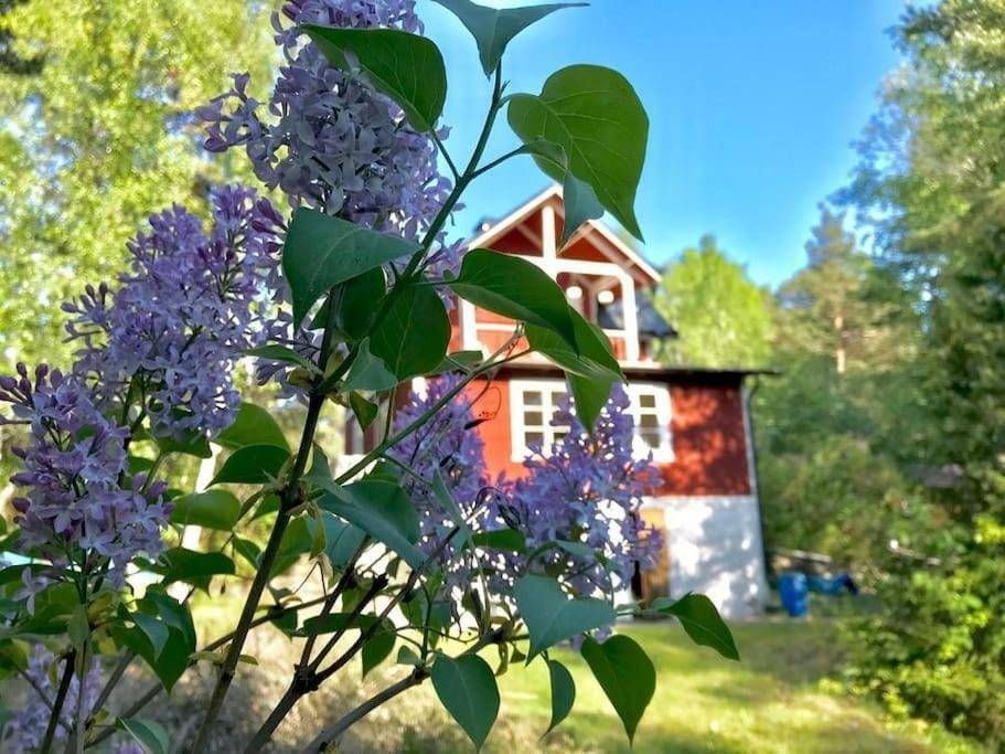 Vaxholm Skarpö archipelago island living with car access House in Stockholm County