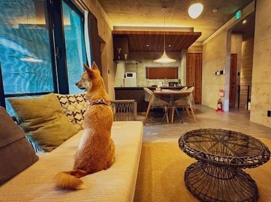 RYUKYU BREEZE 1棟貸し 天然ビーチまで徒歩30秒 プライベートプール付きVilla 北部 Villa in Okinawa Prefecture