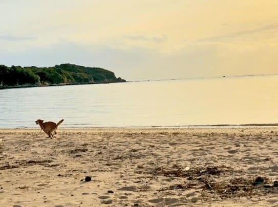 RYUKYU BREEZE 1棟貸し 天然ビーチまで徒歩30秒 プライベートプール付きVilla 北部 Villa in Okinawa Prefecture