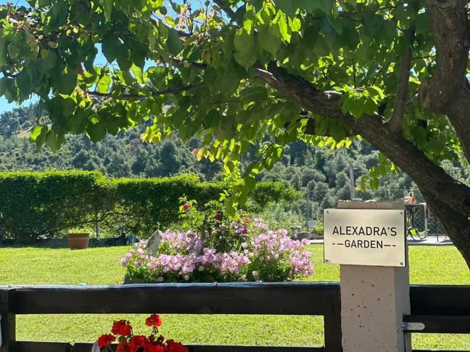 Alexandra's garden Apartment in Halkidiki
