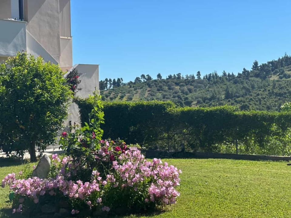 Alexandra's garden Apartment in Halkidiki