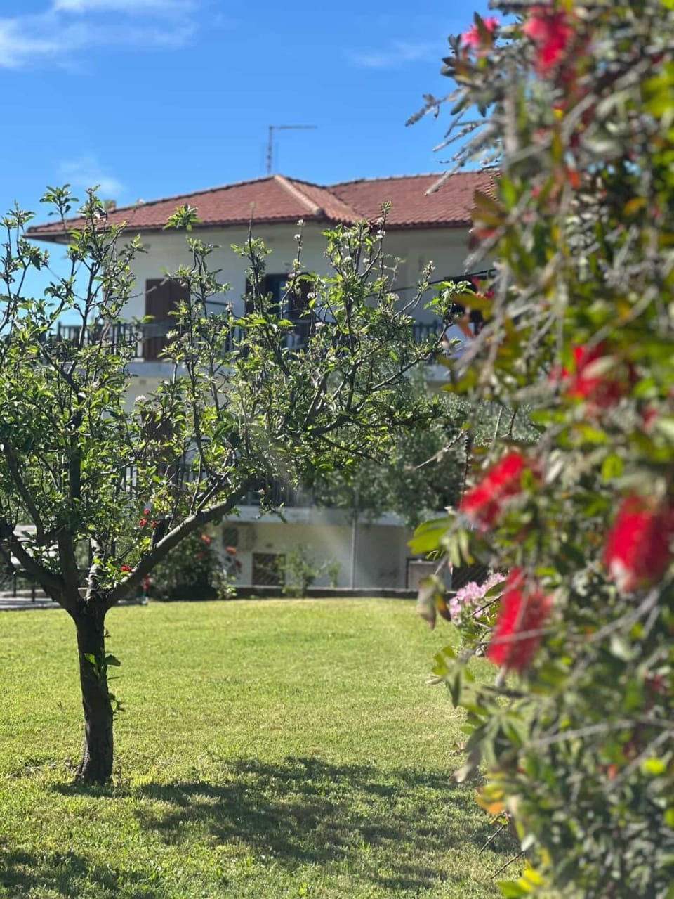 Alexandra's garden Apartment in Halkidiki