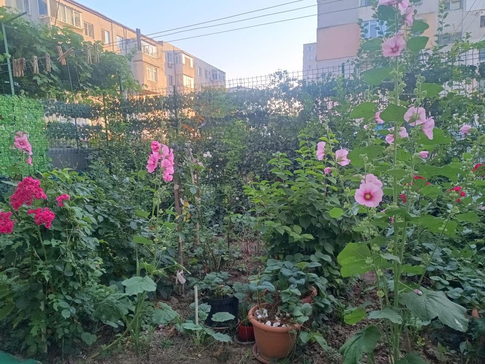 Apartament 2 camere Mangalia, parter-gradinita, 5 min de Portul Turistic Apartment in Dobrich Province, Bulgaria