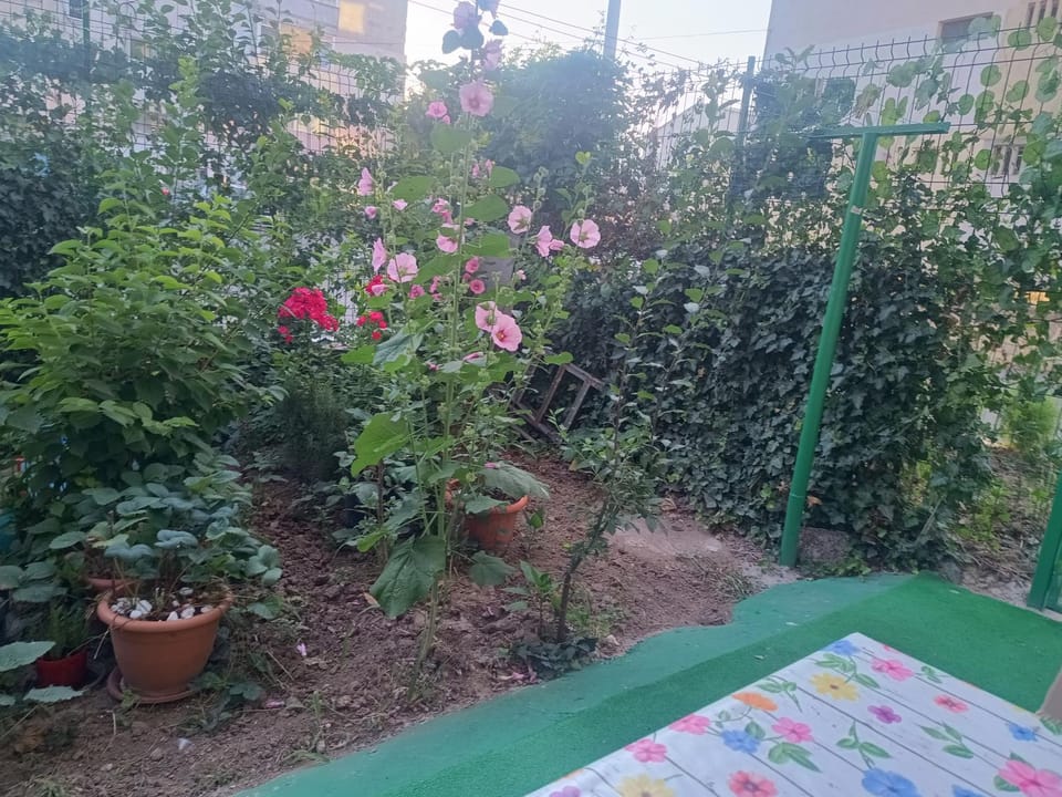 Apartament 2 camere Mangalia, parter-gradinita, 5 min de Portul Turistic Apartment in Dobrich Province, Bulgaria