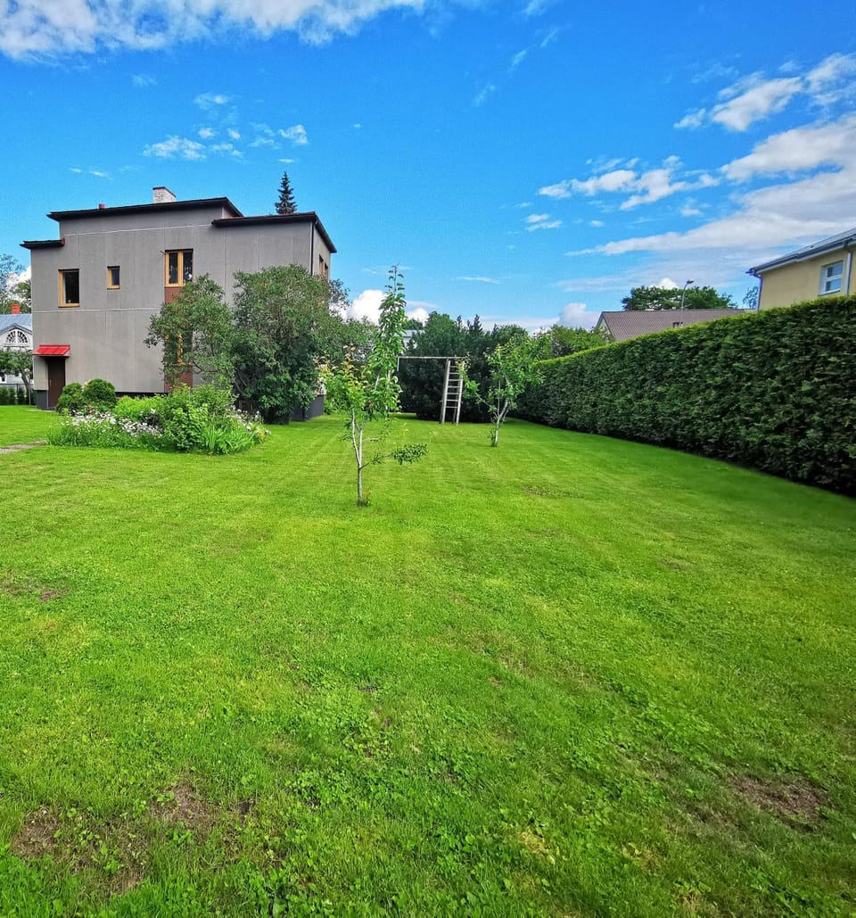 Garden view