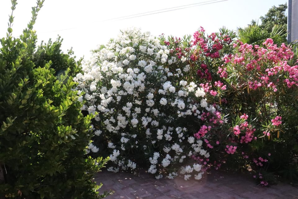 Garden, Garden view
