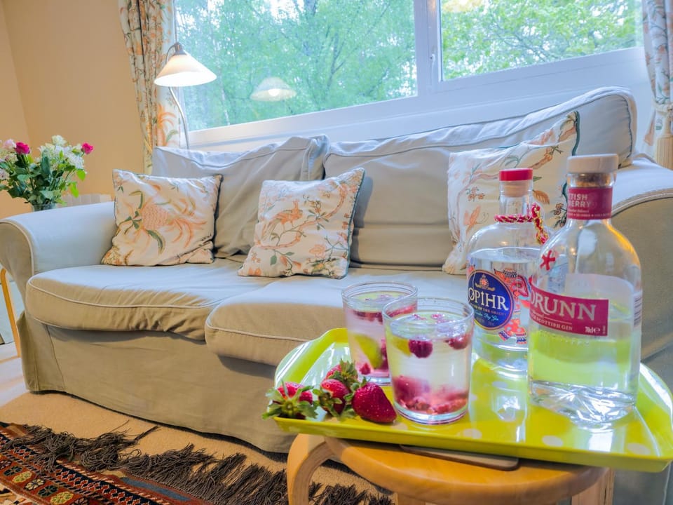 Communal lounge/ TV room, Living room