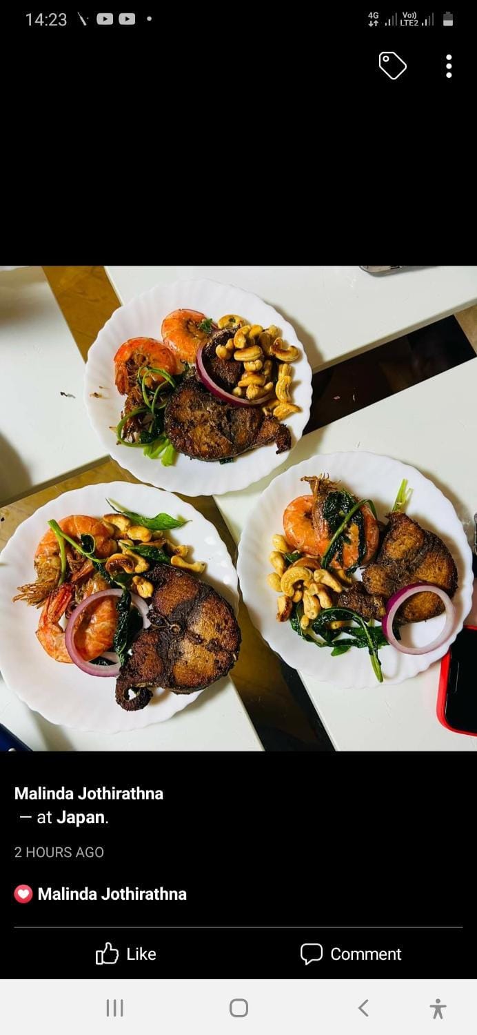 Food and drinks, Lunch, Dinner