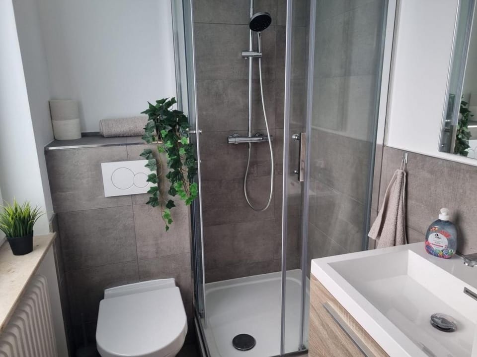 Shower, Toilet, Bathroom, towels