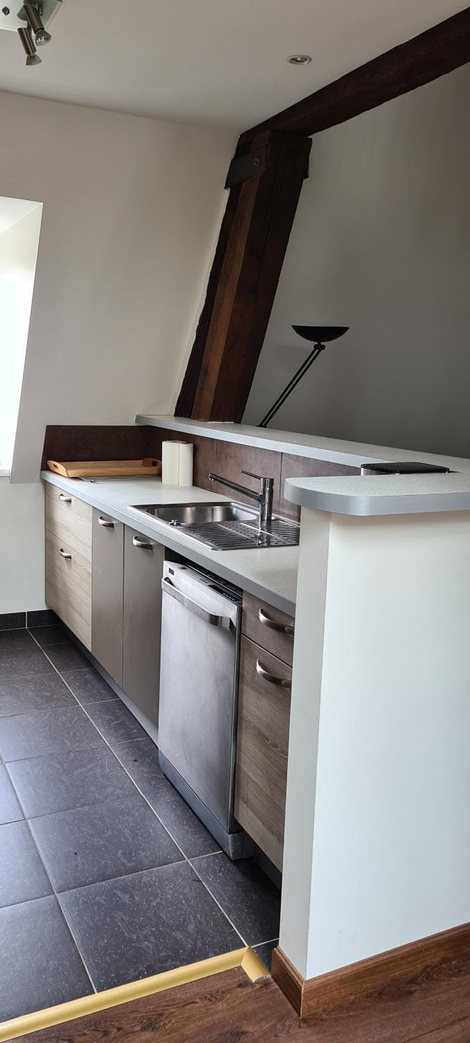 Charmant duplex cœur de ville Apartment in Bourgogne-Franche-Comté