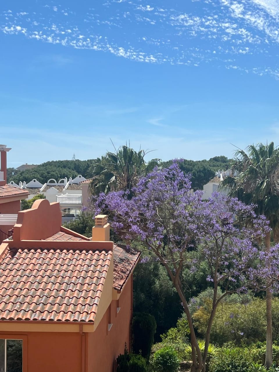 Garden view
