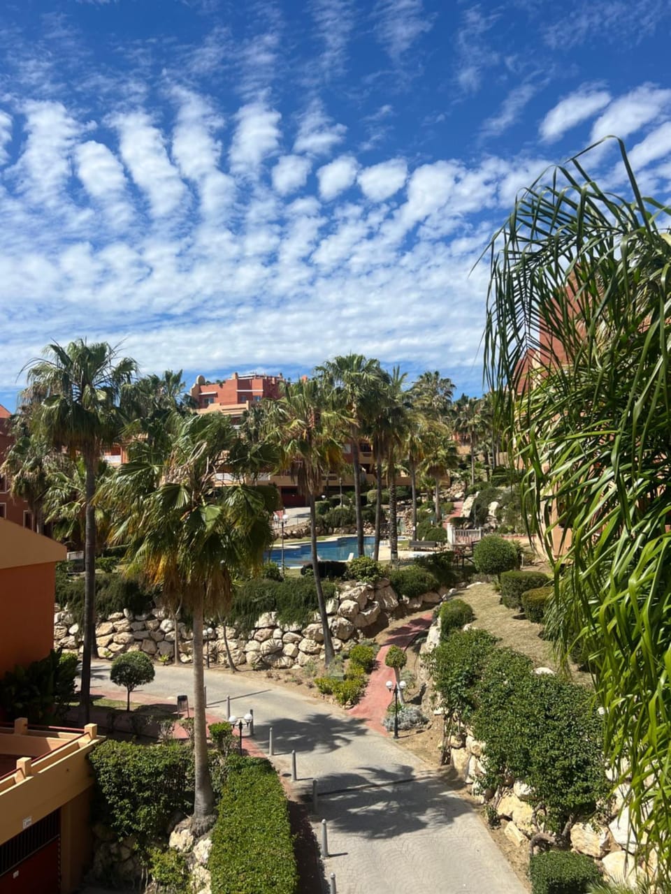 Garden view