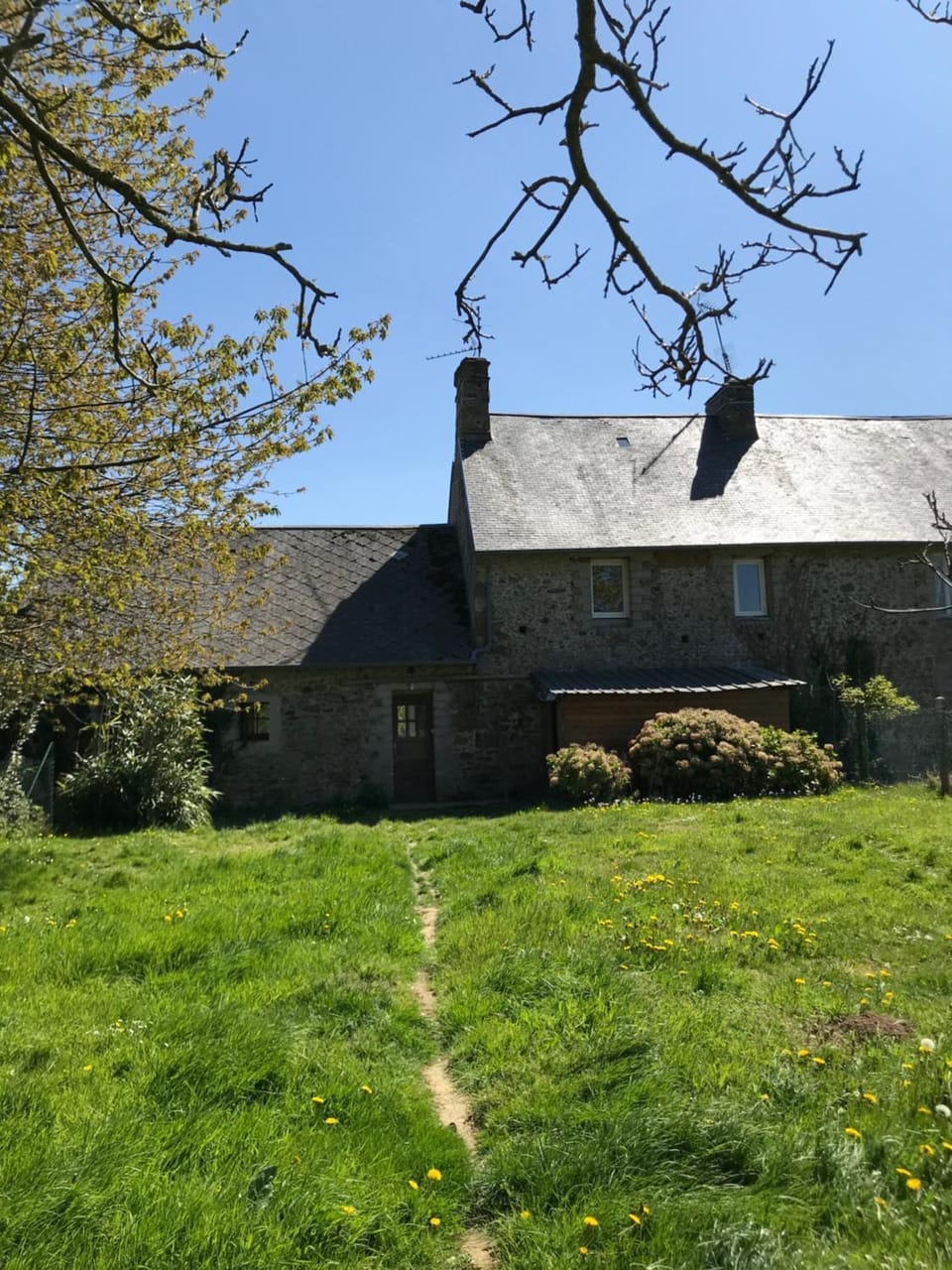 Property building, Garden view