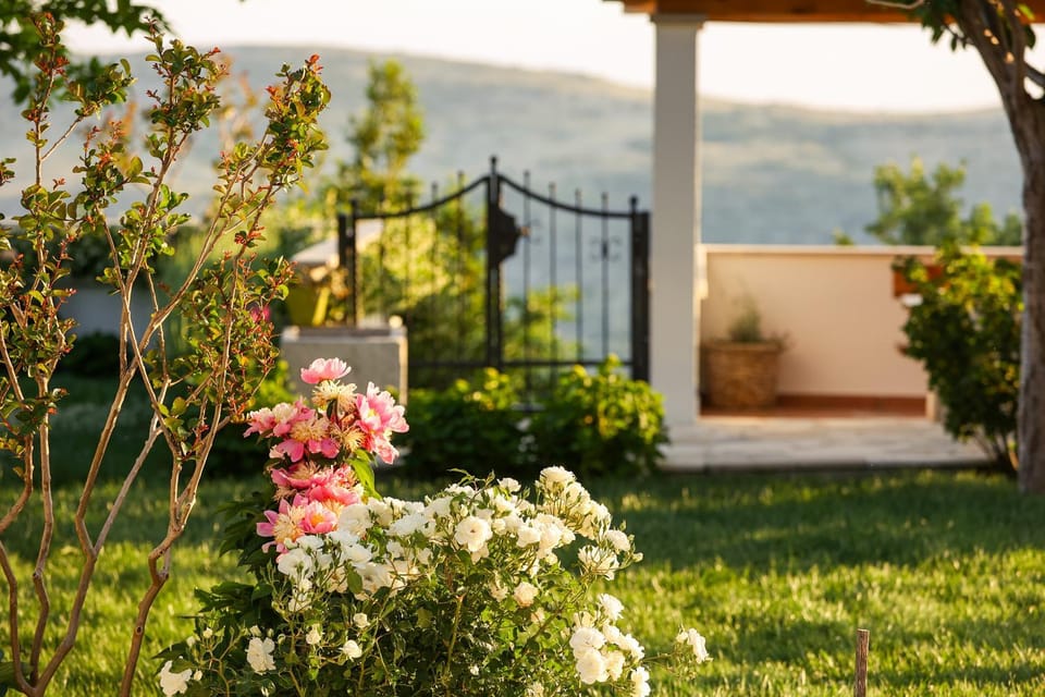 "Villa Nino",luxury oasis near Split,8 pax Villa in Split-Dalmatia County