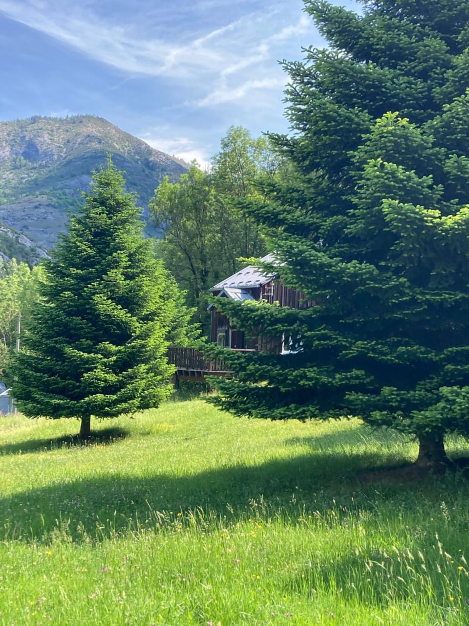 Natural landscape, Garden, Garden view