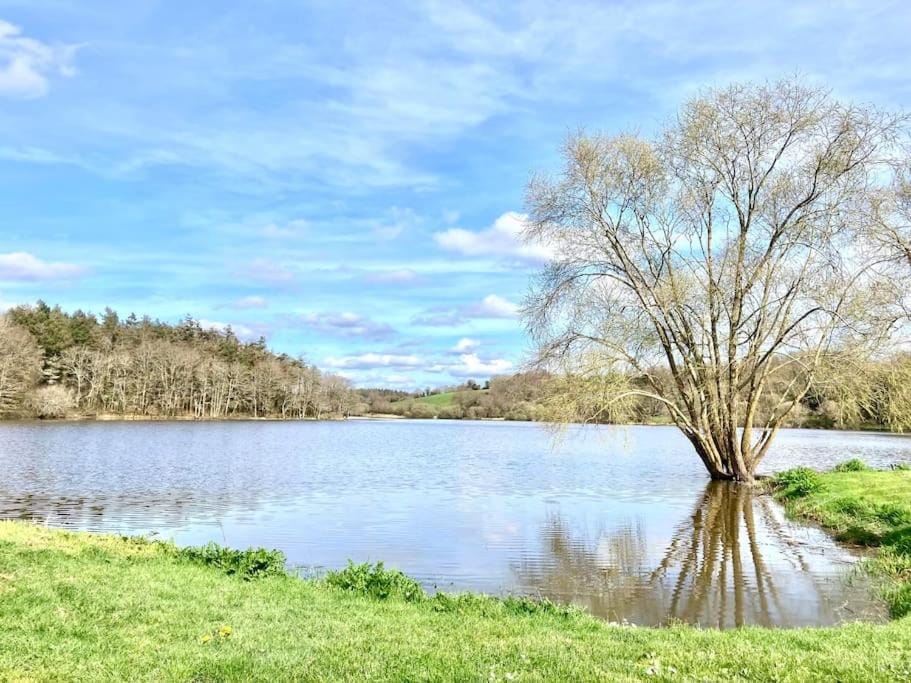 Maison en pierre au Lac du Jaunay House in Pays de la Loire