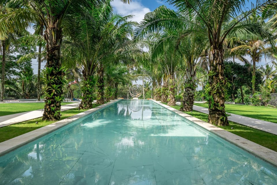 Spring, Day, Natural landscape, Garden, Garden view, Pool view, Swimming pool, Swimming pool