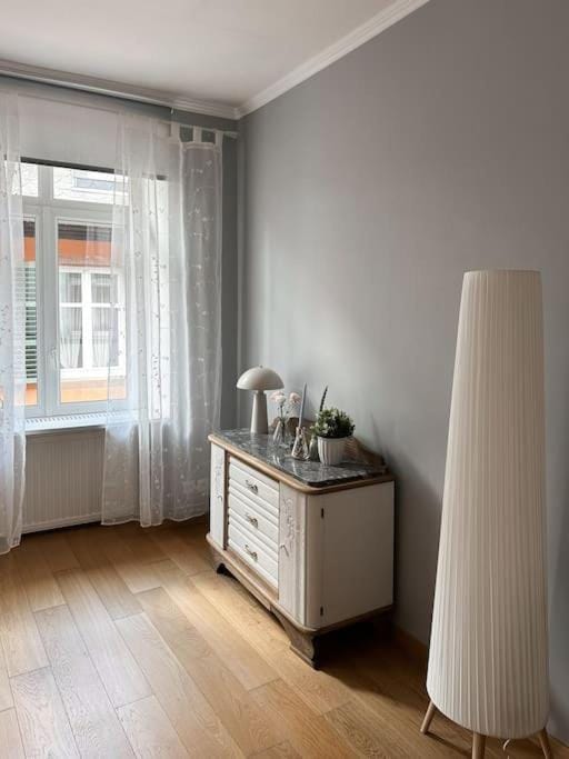 Hypercentre 80m2, à deux pas du Château des Rohan Apartment in Grand Est
