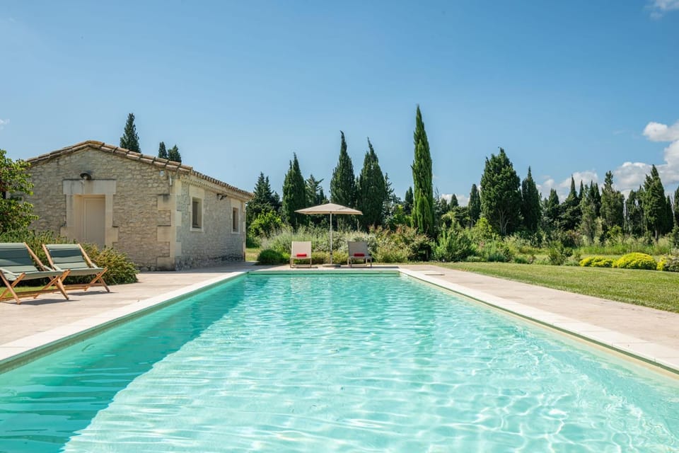 Garden, Pool view, Swimming pool, sunbed