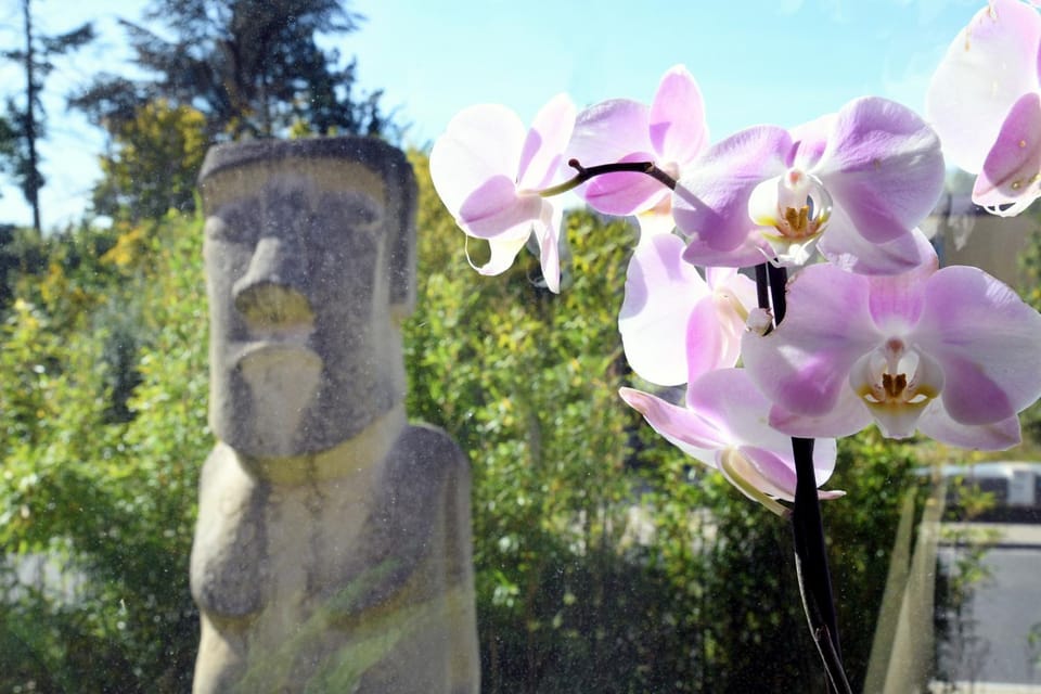 Nearby landmark, Garden, Garden view