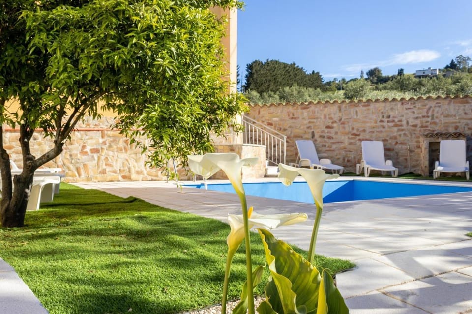 Patio, Spring, Day, Garden, Garden view, Pool view, Swimming pool, sunbed