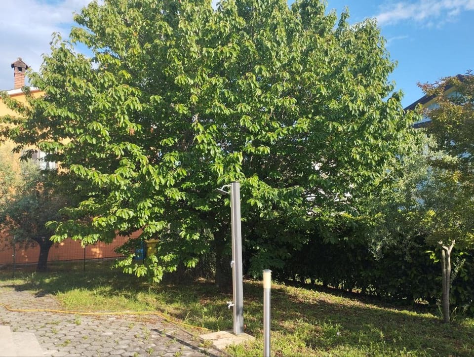 Natural landscape, Garden