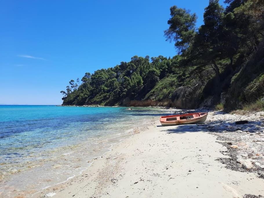 Sea the Art apartment Apartment in Halkidiki
