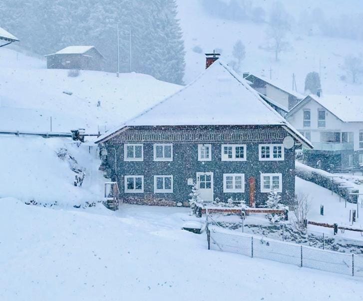 Schwarzwaldhaus Todtnau Apartment in Baden-Württemberg