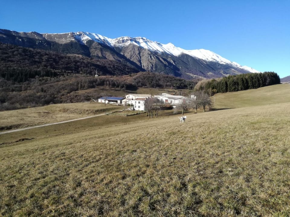 Agriturismo Preele Farm Stay in Lake Garda