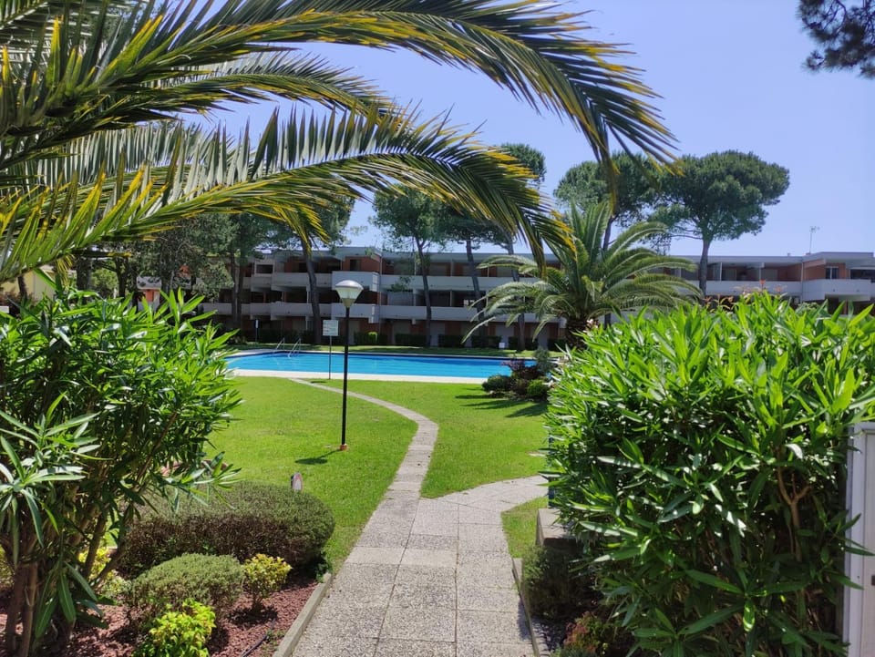 Natural landscape, Garden, Garden, Pool view, Swimming pool