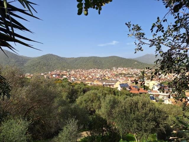 Nearby landmark, Bird's eye view