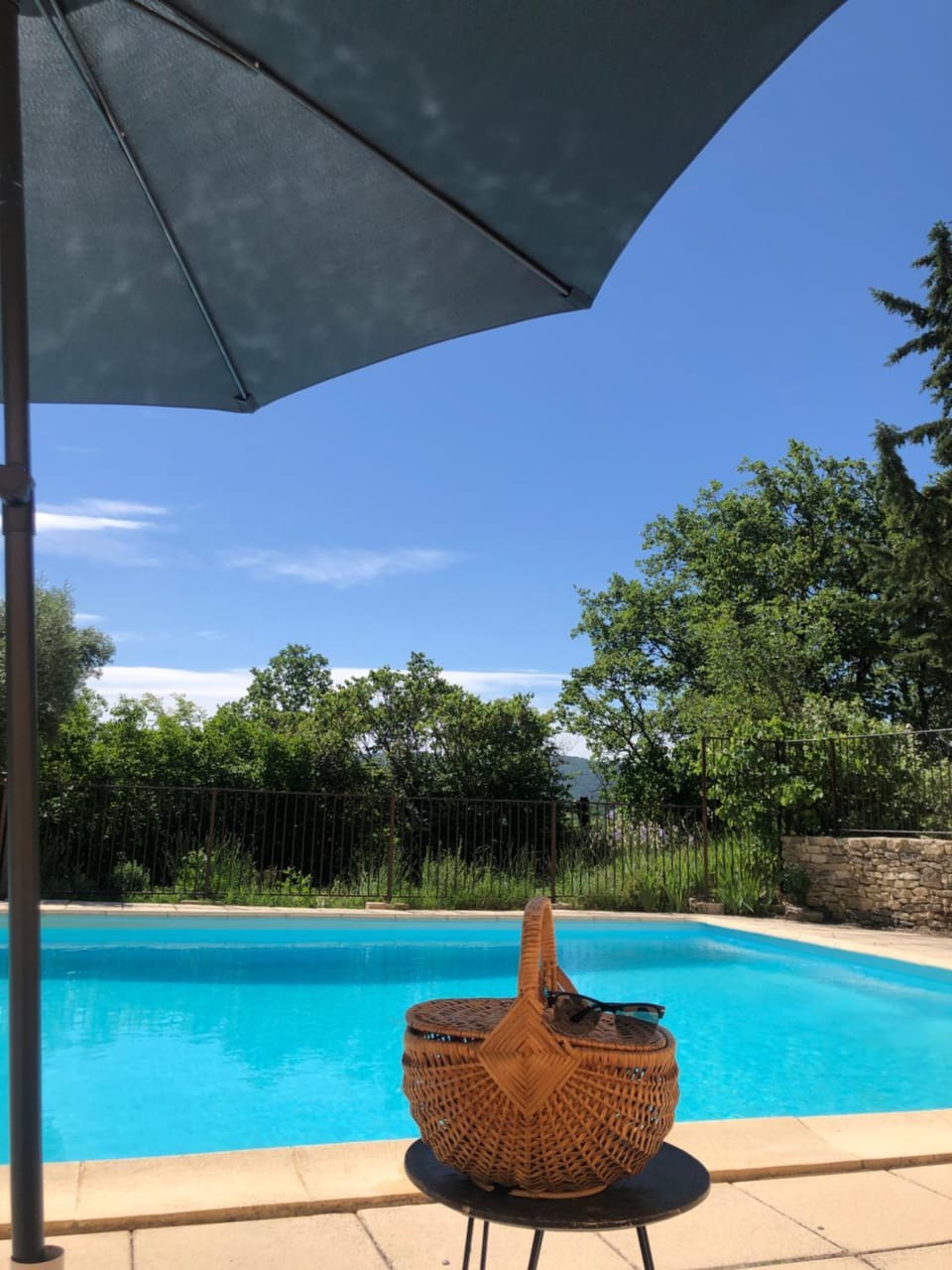 Natural landscape, Garden, Garden view, Pool view, Swimming pool, sunbed