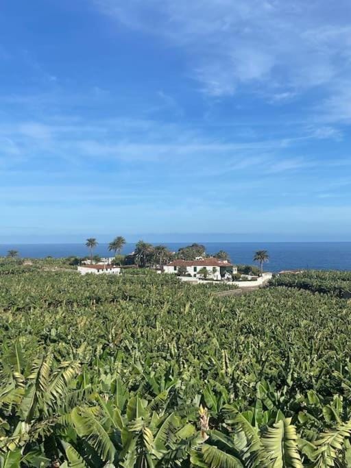 Eco Finca Vista Mar y Teide Apartment in Canary Islands