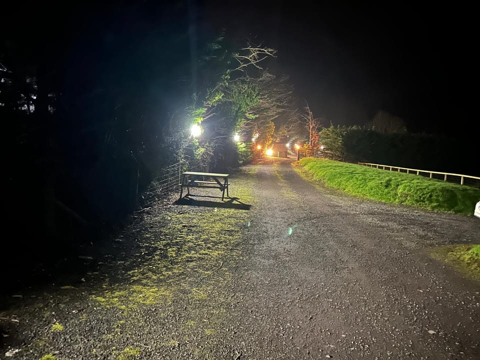Night, Neighbourhood
