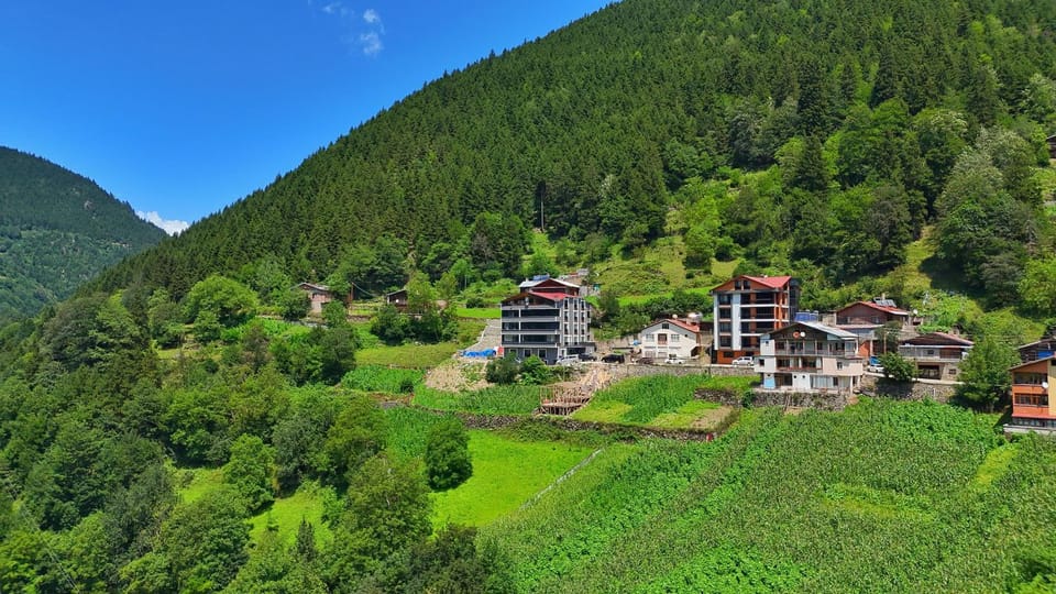 Property building, Natural landscape, View (from property/room), Mountain view, Street view