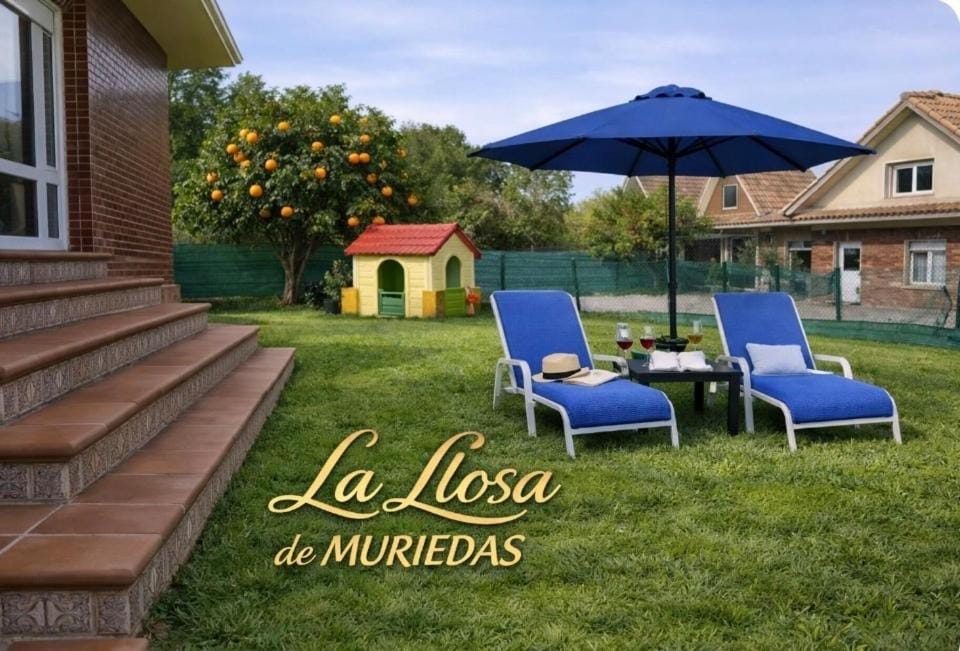 Garden, Garden view, sunbed