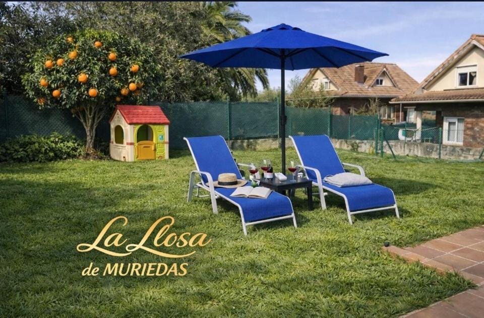 Off site, Garden, Garden view, sunbed