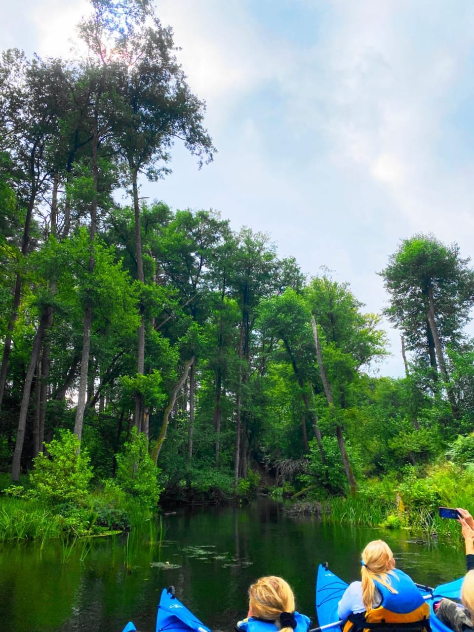 Day, Natural landscape, Activities