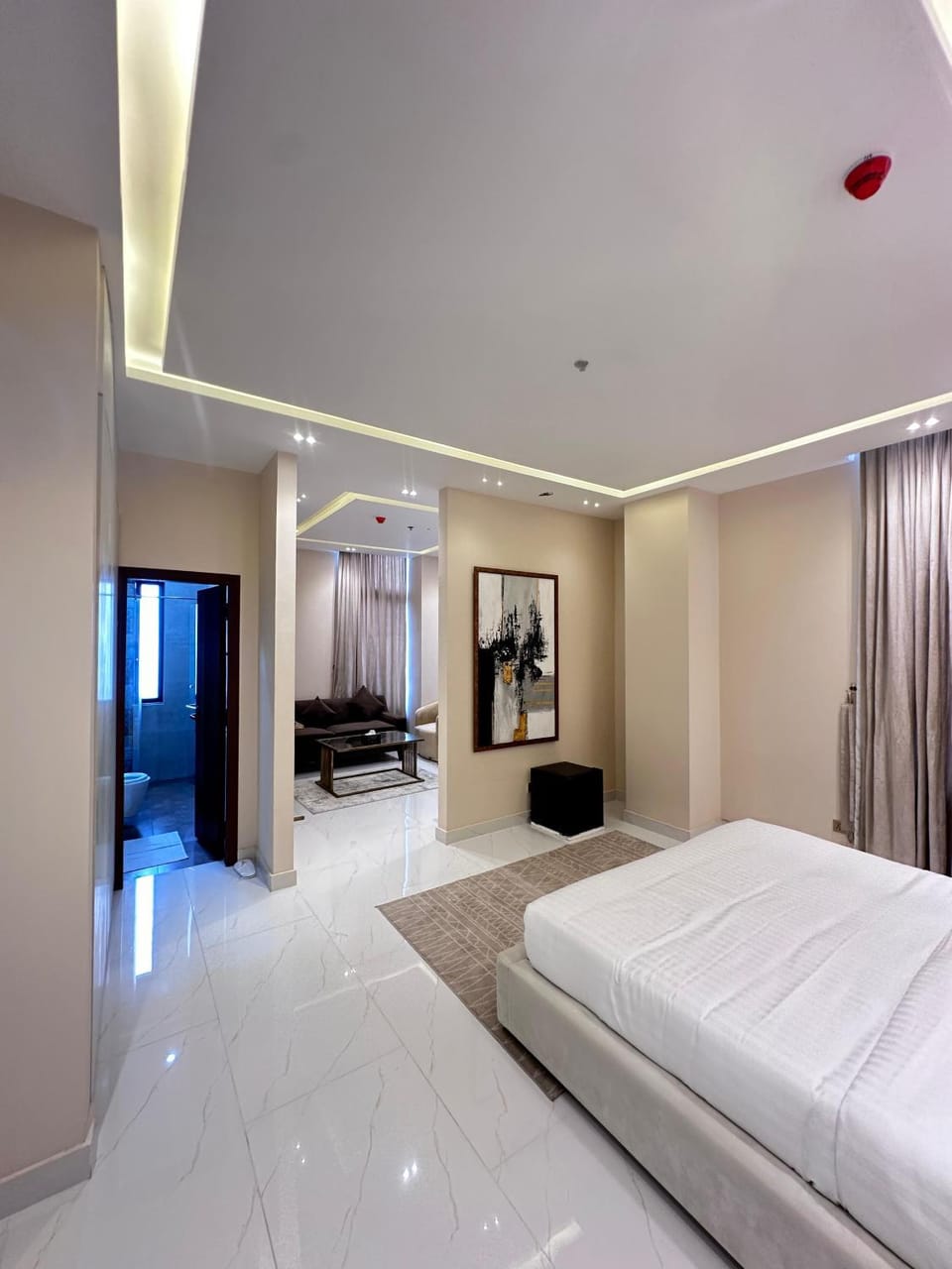 Bed, Living room, Photo of the whole room, Seating area