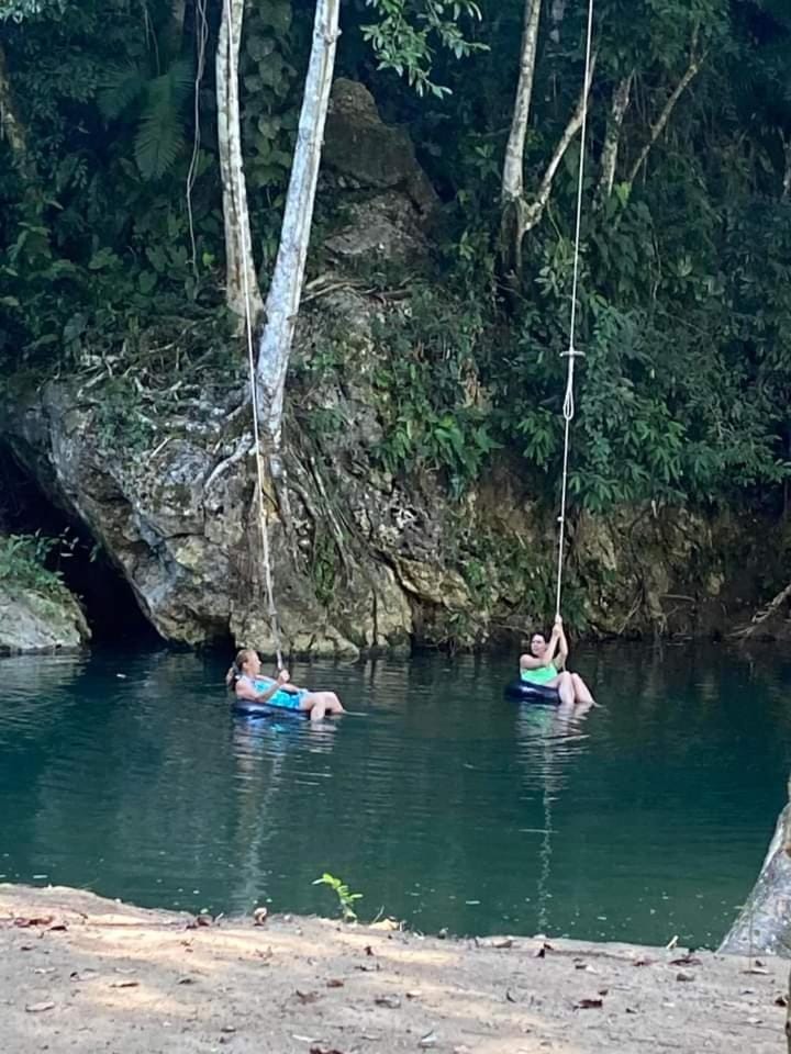 Natural landscape, River view