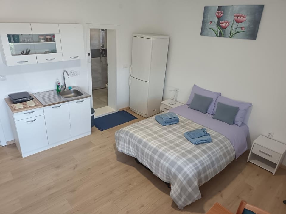 Udobna Soba Sa Prelepim Pogledom #4 Bed and Breakfast in Serbia