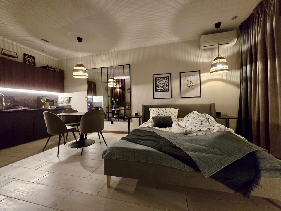 Bed, TV and multimedia, Kitchen or kitchenette, Living room, Photo of the whole room, Seating area, Dining area, Bedroom, towels, air conditioner