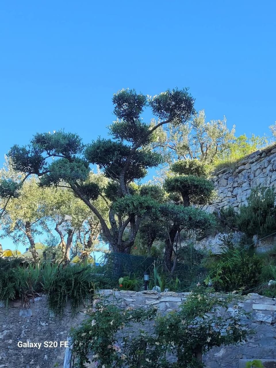 Le Jardin des Oliviers Vacation rental in Apt