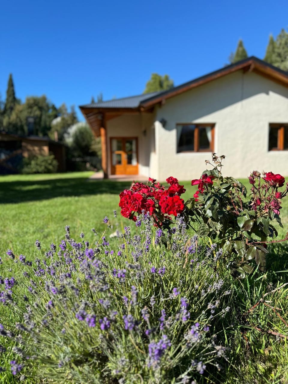 Spring, Garden
